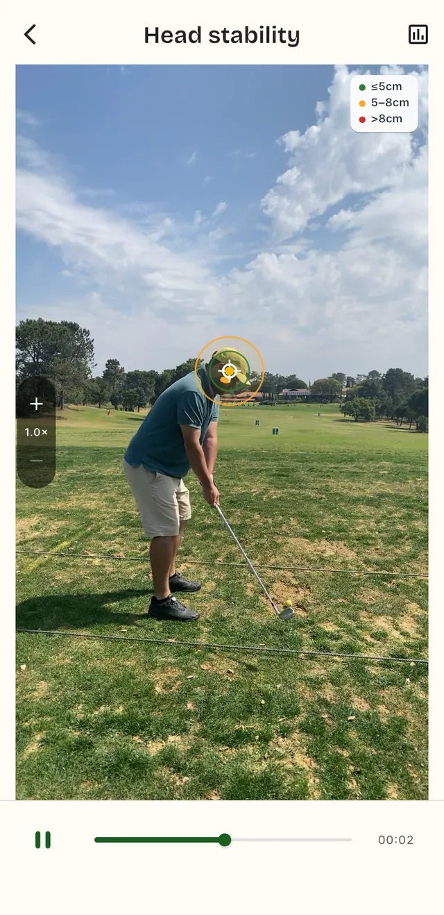 Head Stability